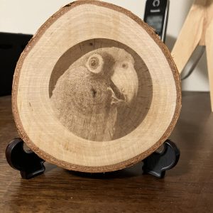 Laser engraved image.